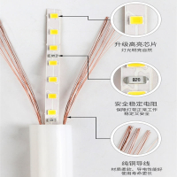 闪电客霓虹柔性圆形360度软灯带户外广告高亮招牌线条灯工程亮化