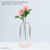 个性水培透明玻璃花瓶摆件客厅插花小清新家居装饰简约创意摆设 组合2