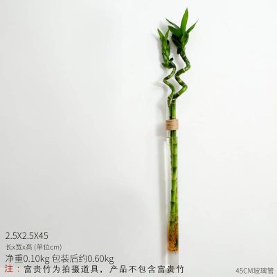 创意小清新透明玻璃花瓶摆件客厅插花水培容器墙上装饰品壁挂花器 45CM长管麻绳花瓶-产品不含富贵竹