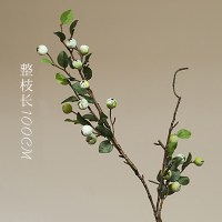 大野果仿真植物 高枝子果树枝浆果 手感胶仿真花花环欧式 春色青绿