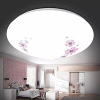 樱花茶花款LED吸顶灯CIAA卧室客厅室内走廊厨房厕所节能家用超亮