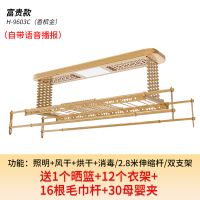 遥控升降电动晾衣架CIAA室内阳台双杆式烘干晒衣伸缩凉衣机 H-9603C(香槟金)