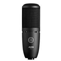 AKG P120高性能通用录音麦克风 电容式麦克风大振膜电容话筒 电脑K歌 录制人声 乐器 语言