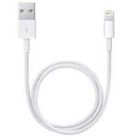 Apple 原装数据线 USB-C 转 Lightning/闪电快充线 iPhone iPad 充电线 拆机版 1米