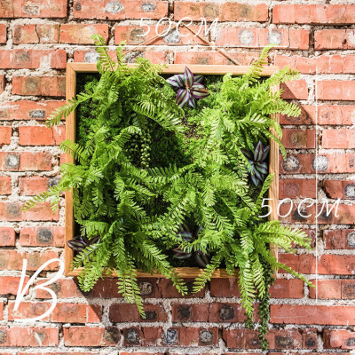 家柏饰(CORATED)仿真绿植框 绿植墙多肉组合植物背景墙 装饰壁饰花墙 B(50X50)