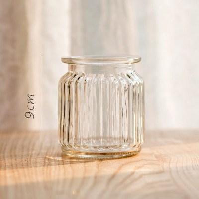 家柏饰(CORATED)小型玻璃器皿小花瓶花器 透明干花插花小号水培客厅装饰摆件 经典竖纹瓶