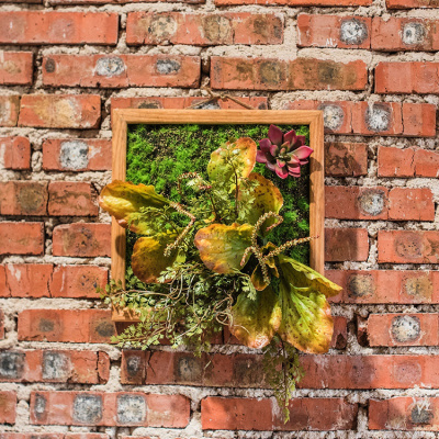 美帮汇仿真绿植框 绿植墙多肉组合植物背景墙 装饰壁饰花墙 F(30X30)