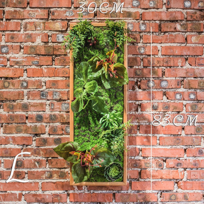 美帮汇仿真绿植框 绿植墙多肉组合植物背景墙 装饰壁饰花墙 L(30X83)