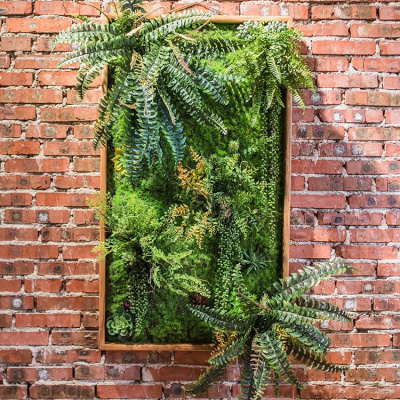 美帮汇仿真绿植框 绿植墙多肉组合植物背景墙 装饰壁饰花墙 P(115X65)