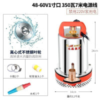 汐岩直流潜水泵水泵家用抽水12v24v480v小型电瓶车抽水泵农用 48-60V通用款1寸口350W7米线送5米管(