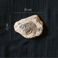 美帮汇史前化石系列冰箱贴 鱼骨甲虫海洋生物艺术装饰摆件另类 H鱼骨