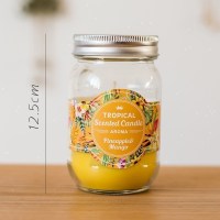 美帮汇热带水果系列蜡烛 香薰杯蜡罐头蜡 装饰风情艺术 菠萝芒果罐头(大)