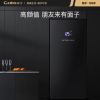 康宝(Canbo)消毒柜 家用 小型 立式迷你小型高温双门 厨房餐具消毒碗柜XDZ80-D1(ZTP108D-1) 适用