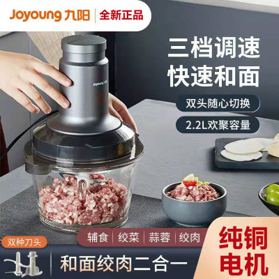 九阳(Joyoung)绞肉机家用电动小型搅拌机打馅碎菜多功能料理碎肉机LA991