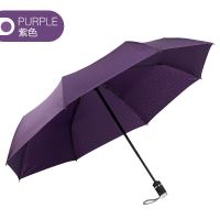 天堂伞伞全自动开收男士两用晴雨伞加大加固一键自开自收折叠伞 紫色