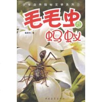 【新华书店】正版 毛毛虫与蚂蚁焦耐芳9787515304892中国青年出版社 书籍