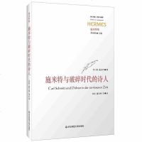 【新华书店】正版 施米特与破碎时代的诗人施米特华东师范大学出版社9787567589339语言文字