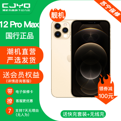 [99新]Apple iPhone 12ProMax 金色128GB 二手苹果12PM 全网通5G 国行正品 手机