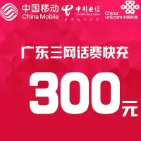 广东三网话费充值 300元 快充直充 24小时自动充值