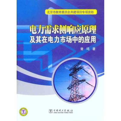 电力需求侧响应原理及其在电力市场中的应用9787512308954中国电力出版社