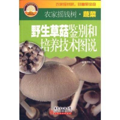 野生草菇鉴别和培养技术图说9787535958761广东科技出版社