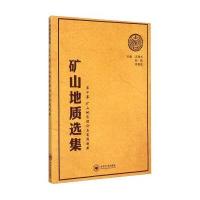 矿山地质 集(D10卷:矿山地质理论与实践创新)9787548718499中南大学出版社