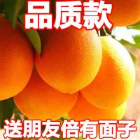 精选大果[带箱10斤]正宗新鲜伦晚橙子脐橙现摘现发应季新鲜水果10/5/3斤甘鲜生
