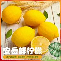 [2斤装]新鲜水果柠檬新鲜泡水四川安岳柠檬一级果整箱批发甘鲜生