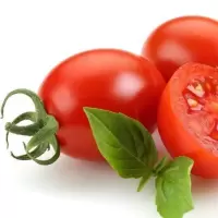 [圣女果5斤] 新鲜圣女果现摘现发农家小西红柿小番茄孕妇甜水果非千禧果甘鲜生
