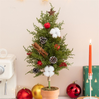 邦可臣高级感仿真诺贝松圣诞树60cm小型松针盆栽led灯玄关装饰摆设