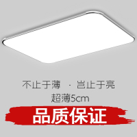 客厅灯2022年新款LED吸顶灯藤印象遥控卧室灯具简约现代家用大气阳台灯