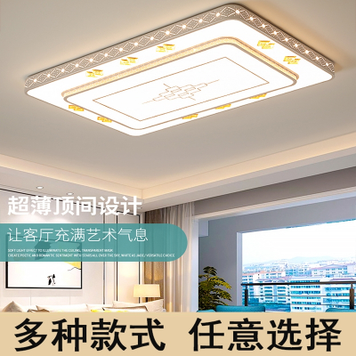 志高(CHIGO)照明新款遥控led吸顶灯现代简约大气客厅灯卧室灯灯具