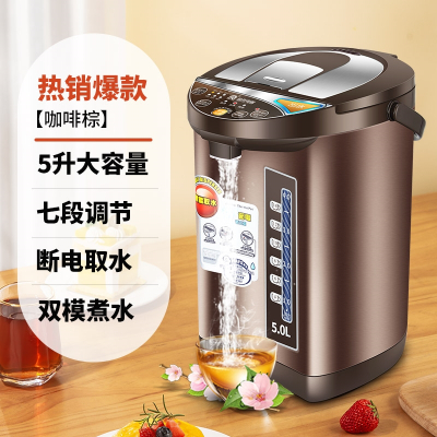 容声(Ronshen)智能恒温电热水壶热水瓶自动烧水壶保温一体家用煮开水大容量 咖啡色
