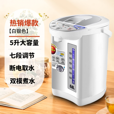 容声(Ronshen)智能恒温电热水壶热水瓶自动烧水壶保温一体家用煮开水大容量 白银色