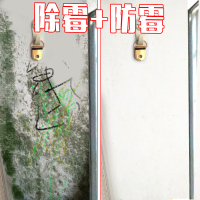 墙壁除霉剂墙体墙面白墙纸去霉菌清除剂卫生间厨房木材家具剂