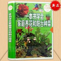 一本书学会 家庭养花和阳台种菜 养花入 在阳台上种菜 手把手教你阳台种菜 家庭种菜书 绿色蔬菜种菜的书 花草树木蔬