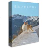 官方正版旅途中邂逅的猫咪一个旅人和猫咪的54个故事旅游摄影艺术萌猫咪的故事养猫入书籍知识大全宠物书籍猫咪书籍知识大