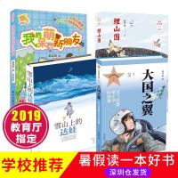 2019年暑假读一本好书(4册) 鲤山围+雪山上的达娃+大国之翼+我的呆萌新朋友明天出版社 老师推荐书