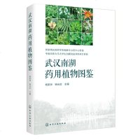 正版 武汉南湖药用植物图鉴杨新洲杨光忠武汉南湖药用植物普查植物标本的采集与制作方法种类识别与鉴定技巧大全药用植物品种