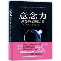 意念力 激发你的潜在力量 梦的解析后心理学史上划时代巨作 霍金斯的作品新书 潜意识心理学图书 智慧哲学大众心理 书