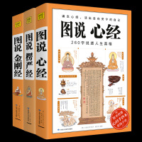 全3册]图说金刚经+心经 +楞严经图解版文白对照 佛经佛学书籍入 佛教十三经 心经坛经原文疑难字解释佛教经书 禅