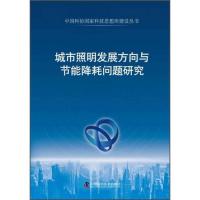 中国科协国家级科技思想库建设丛书:城市照明发展方向与节能降耗
