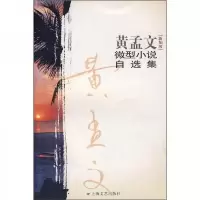 黄孟文微型小说自选集
