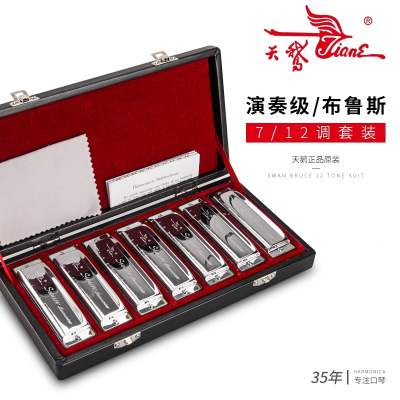 天鹅(Tian E)10孔布鲁斯口琴套装C调儿童初学者成人蓝调十孔入门口琴乐器