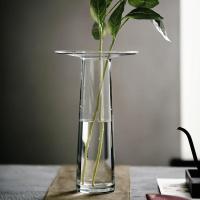 玩物志客厅现代简约玻璃花瓶插鲜花书房玄关水养绿植创意花器