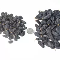 新疆吐鲁番黑加仑葡萄干特级黑玫瑰提子免洗食干果特产 小黑加仑葡萄干一斤