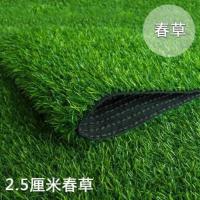 草高2.5厘米普通款 仿真坪垫绿色假人造皮户外绿植装饰足球场人工塑料幼儿园地毯