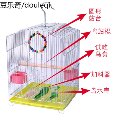 洁西 电镀钢丝鸟笼鹦鹉八哥画眉鹩哥相思鸟笼大号鸟笼 多省