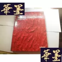 正版旧书WANG XIAOSNG[精装]