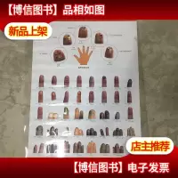 望甲诊病挂图(附说明书)